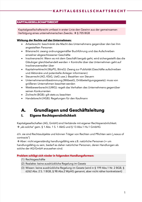 Kapitalgesellschaftsrecht - Skript