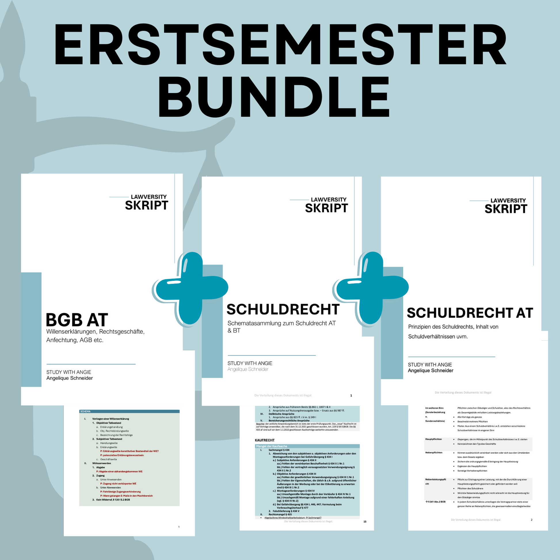 Bundle - BGB At & Schuldrecht AT Skript + Schemata zum Schuldrecht AT & BT