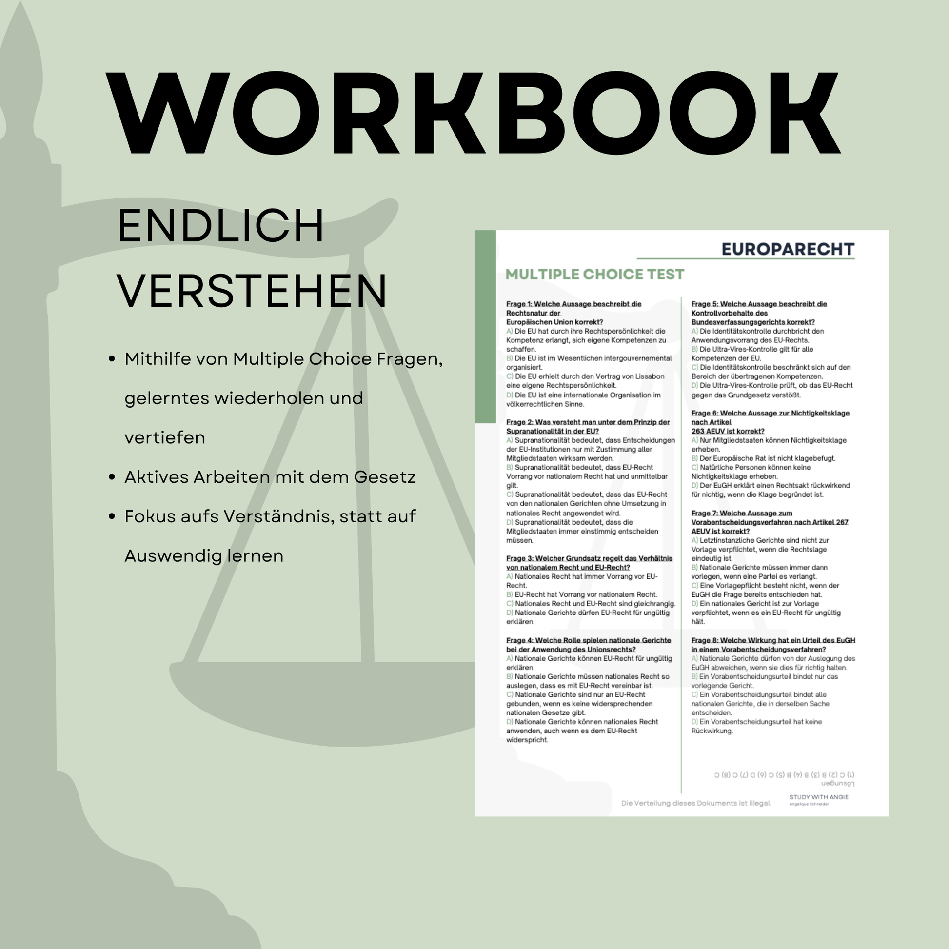 Europarecht - WORKBOOK (MC)