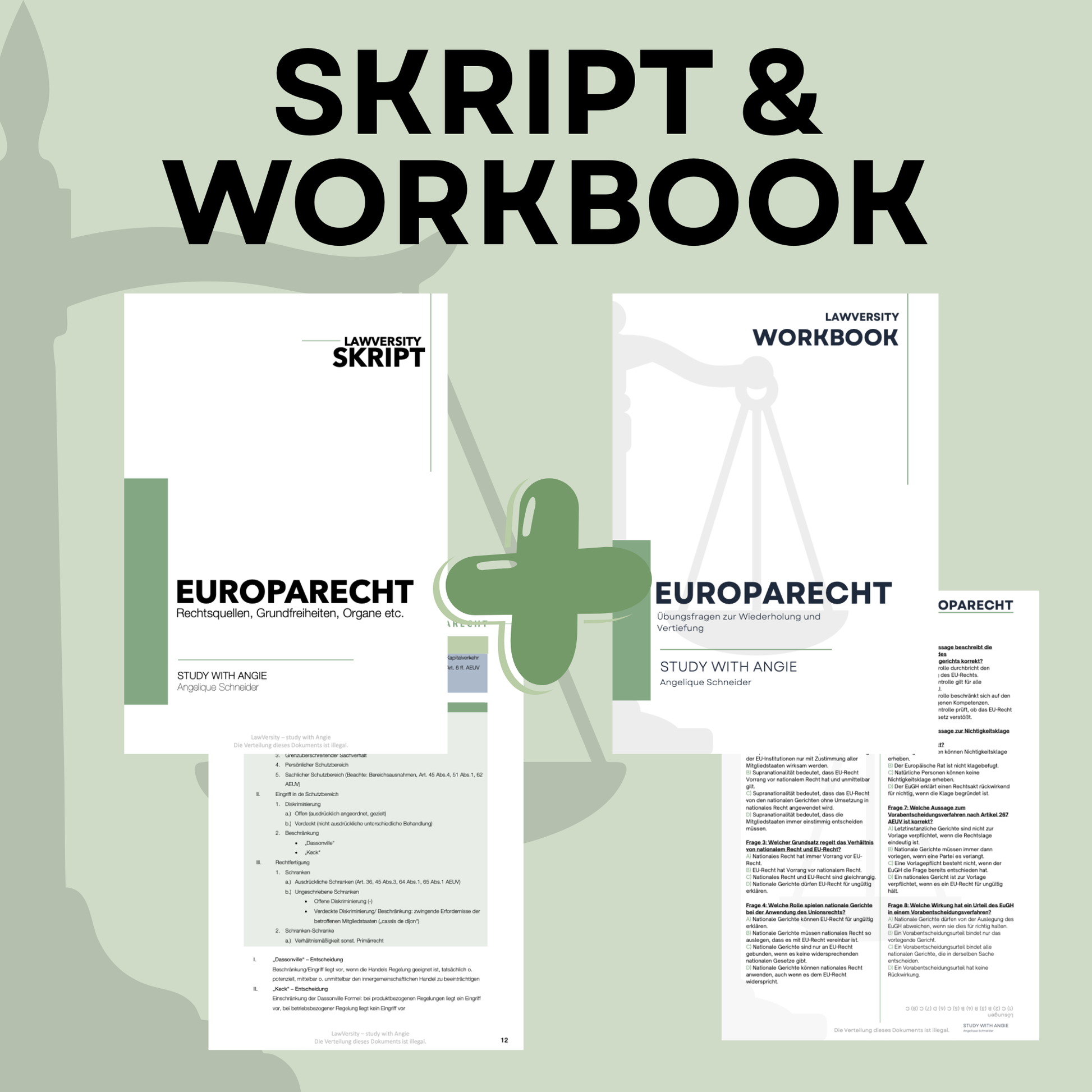 Europarecht - Skript & Workbook (MC)